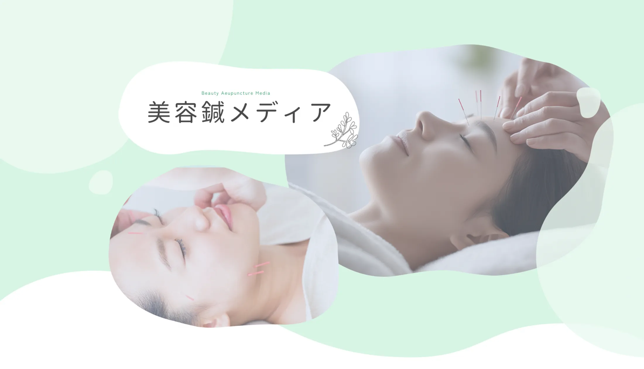 美容鍼メディア